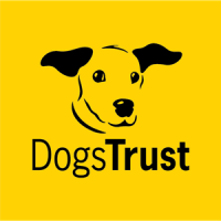 The Dog’s Trust Lottery